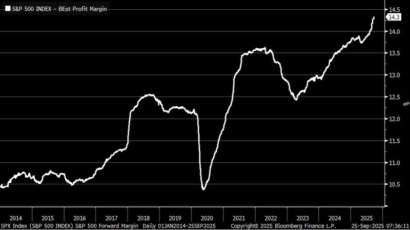 S&P 500 Index - Best Profit Margin